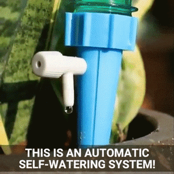 PlantDrip, the automatic plant watering tool 10+10 FREE - Image 3