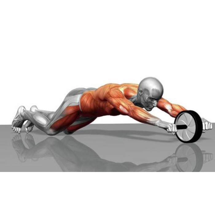 AbTrainer, exercise wheel with padded handles - Image 9