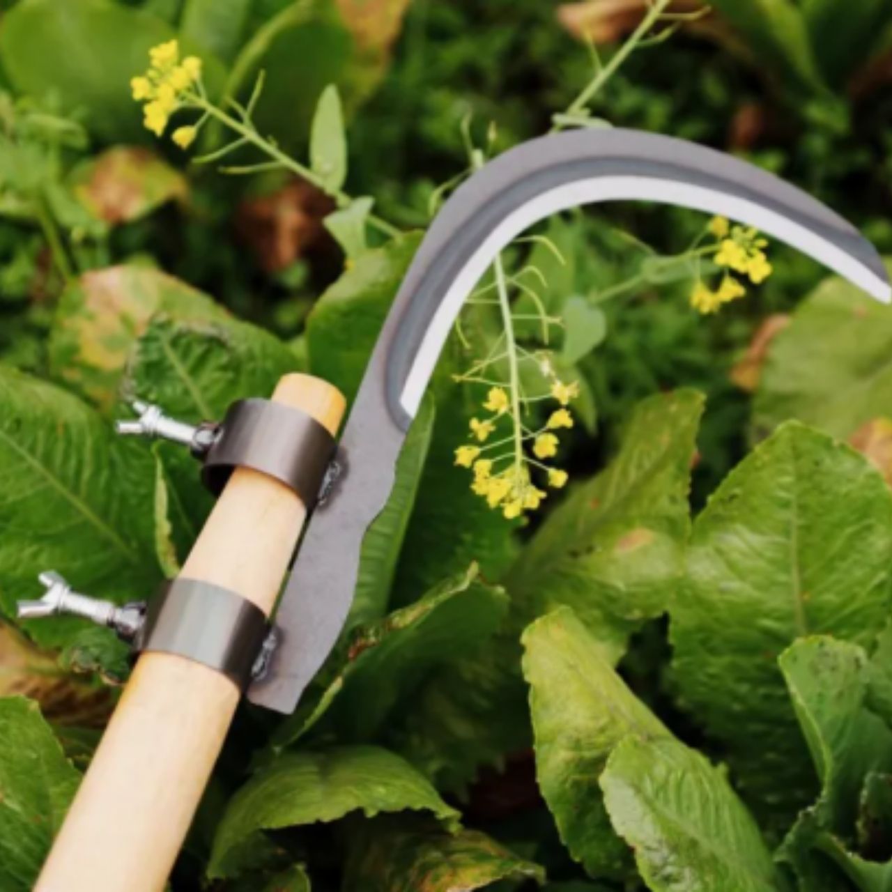 AgroTool, Branch, Weed, Thorn and Vegetation Cutter - Image 4