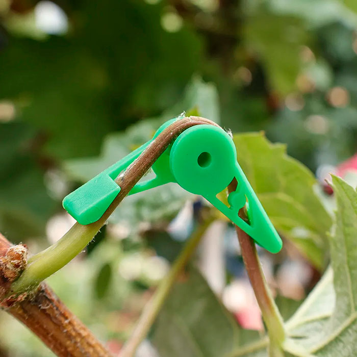 AnglePlant, plant growth guide clips (30 pieces) - Image 8