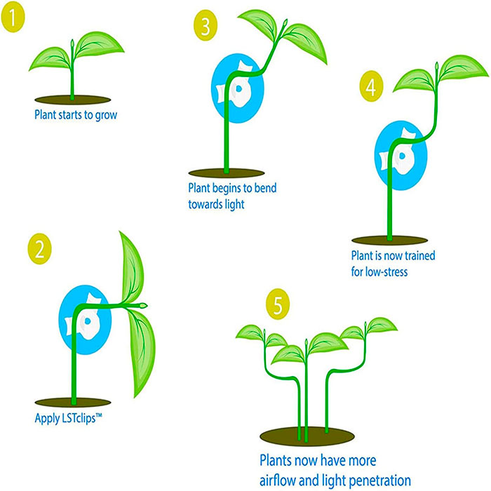 360-degree guidance for total growth!