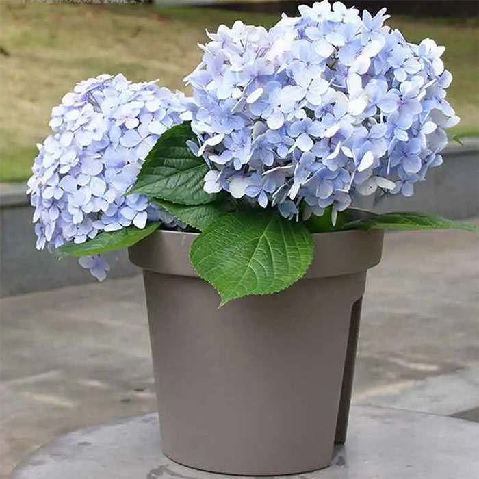BalconyPots, balcony flower pots (2 pieces) - Image 4
