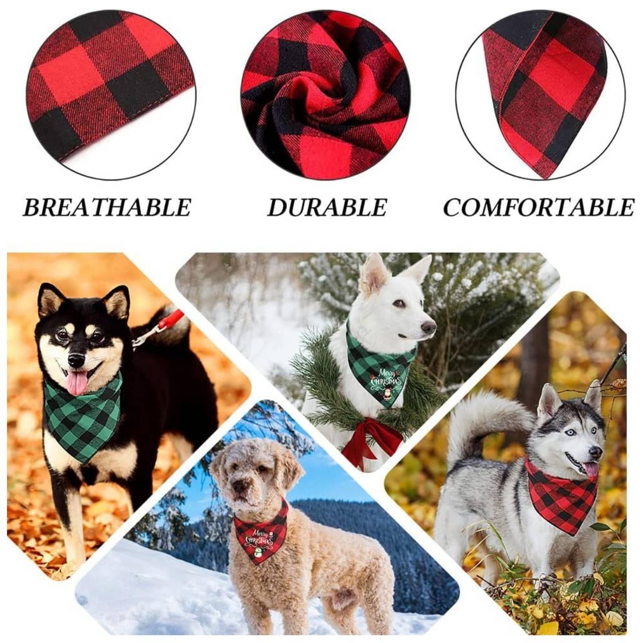 Perfect for festive photos!