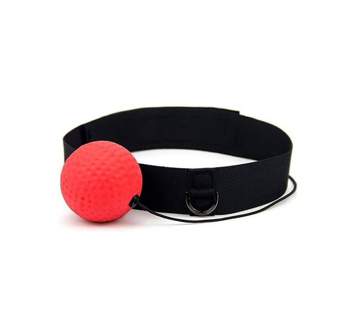 BoxingBall, the home training system for speed, coordination and punching