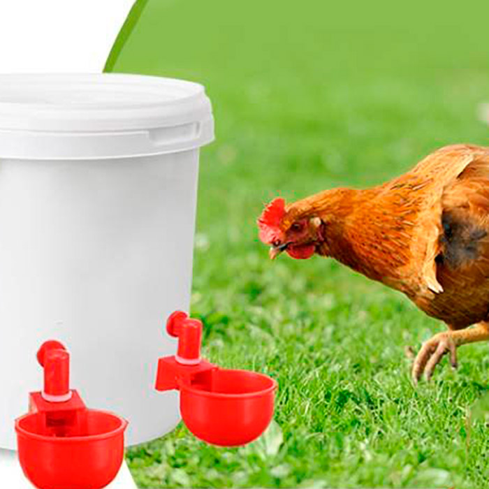 ChickenBowl, waterer for hens and other poultry (6 pieces) - Image 8