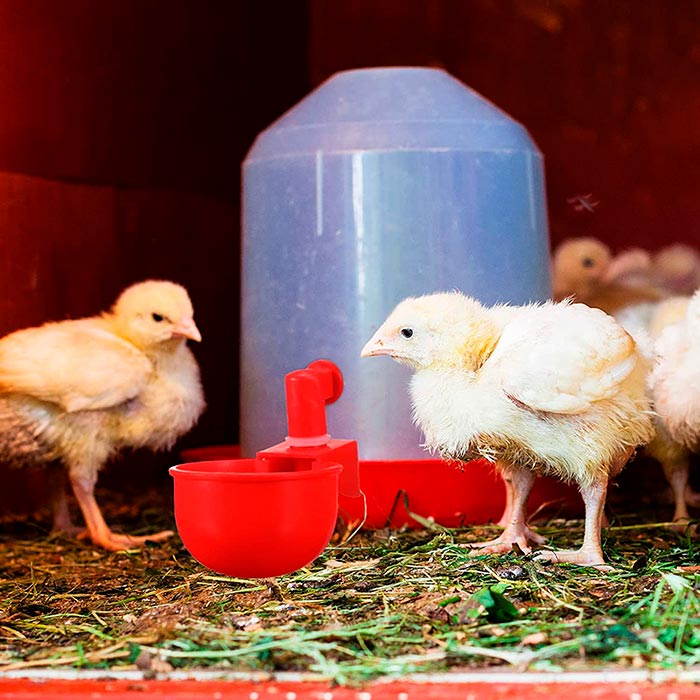 Just the right amount of water is automatically dispensed into the poultry tanks so it won't spill all over the place!