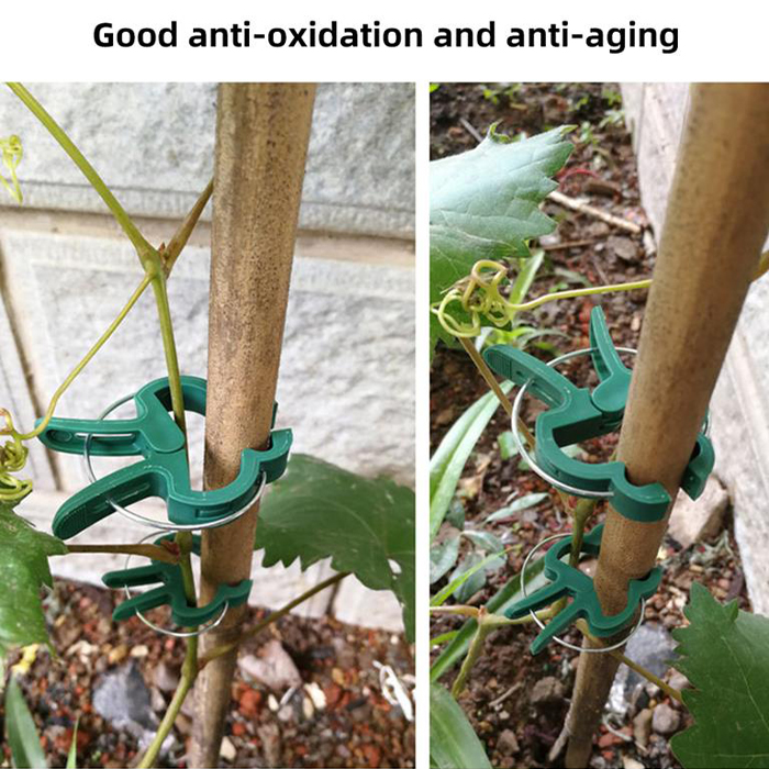 ClampsGarden, useful and durable clamps for a variety of plants outside and inside (20 pcs.) - Image 8