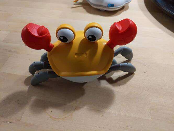 CrawlingCrab, an interactive crab that moves when you approach it