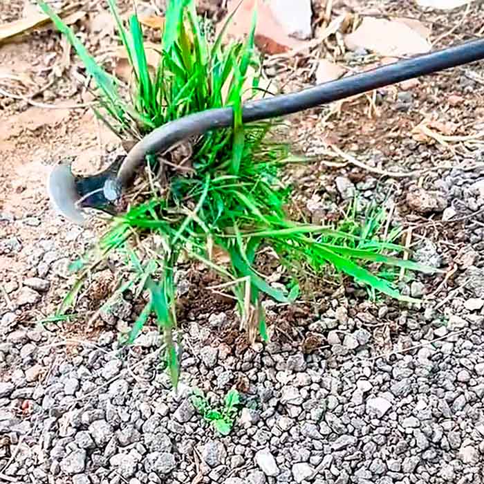 DuoWeeder, the garden weeder - Image 7