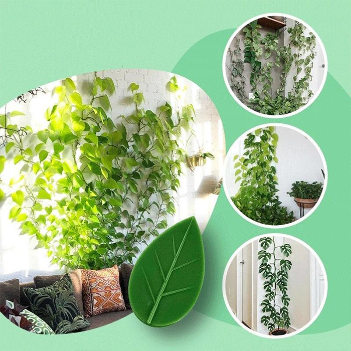 FixtureClips, 10+10 FREE self-adhesive plant branch holders - no drilling! - Image 6