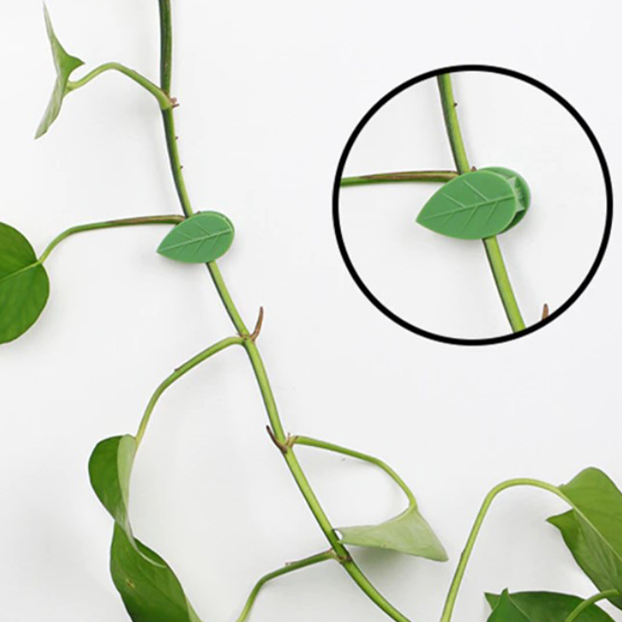 FixtureClips, 10+10 FREE self-adhesive plant branch holders - no drilling! - Image 9