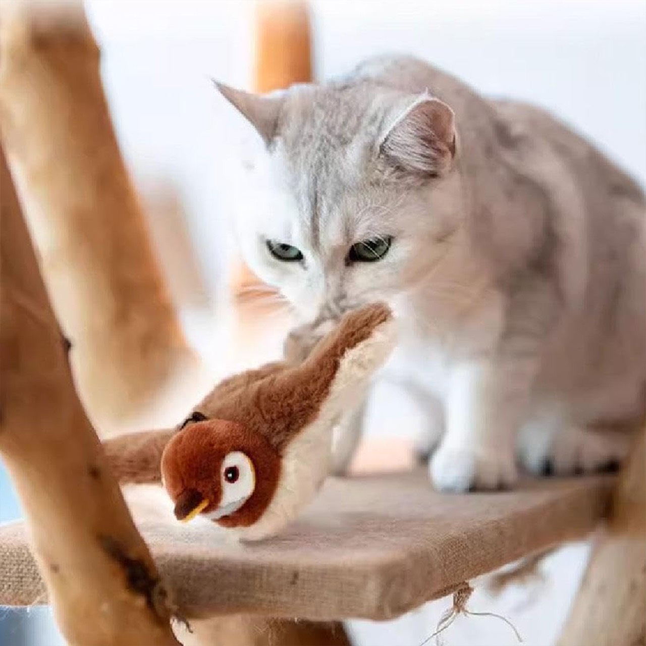 The toy switches on when touched and moves like a real bird and switches off when the cat is no longer using it.
