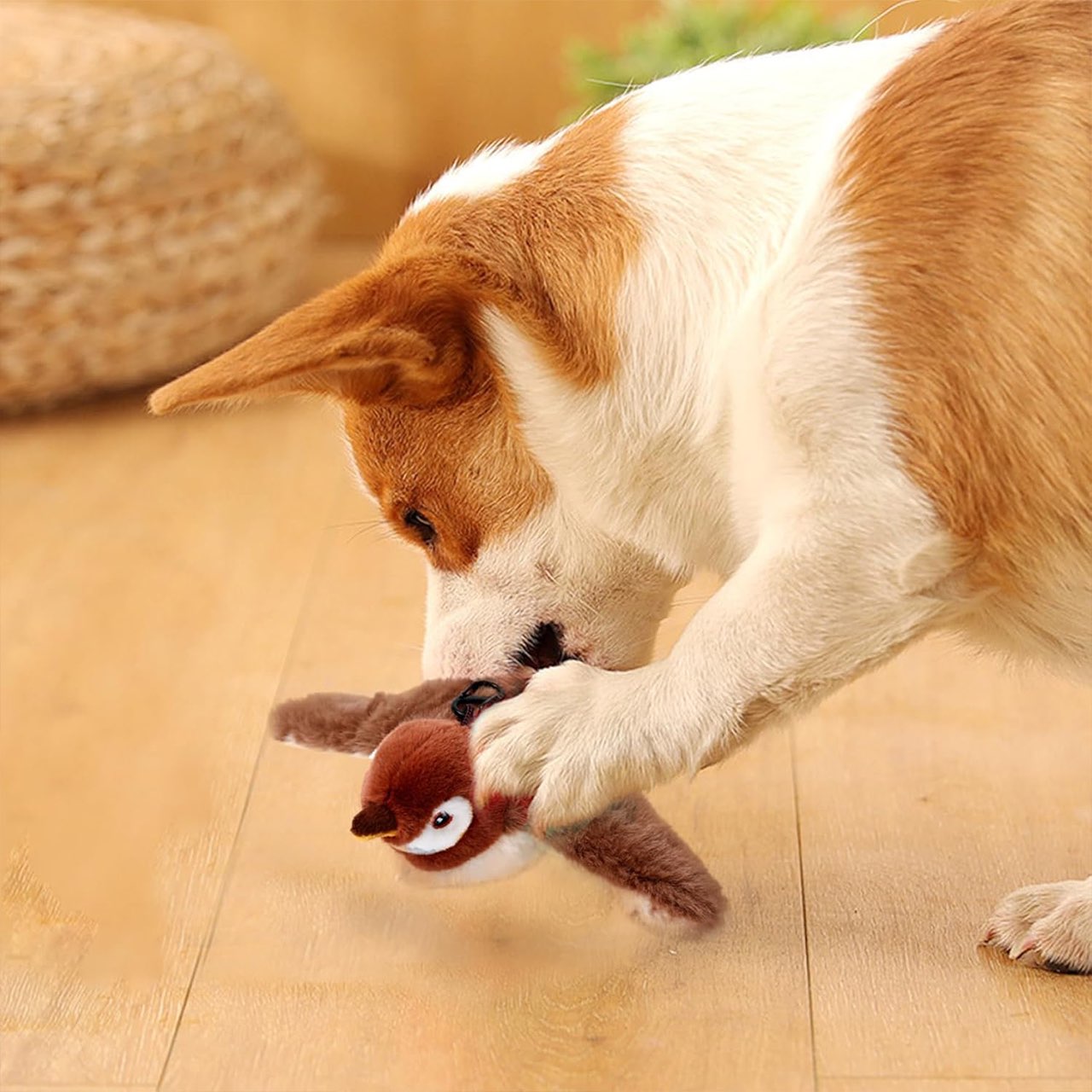 Made of durable, cat-friendly and soft materials.