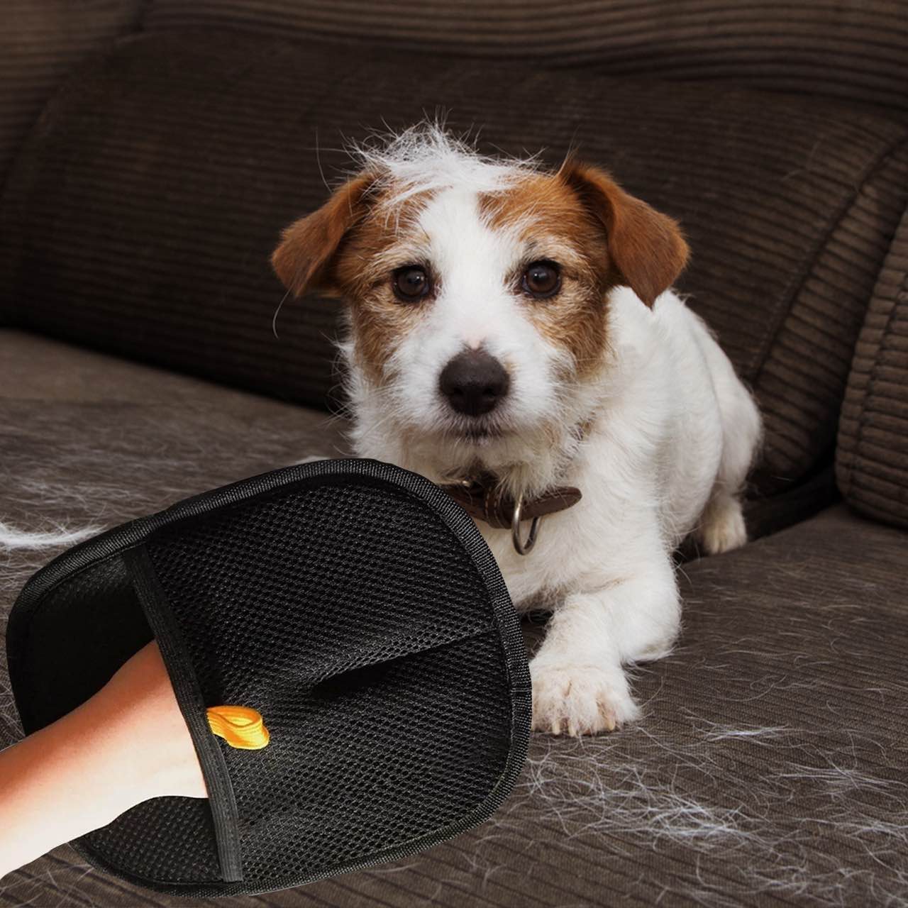 GroomyGlove - anti-static glove for pet hair removal - Image 8