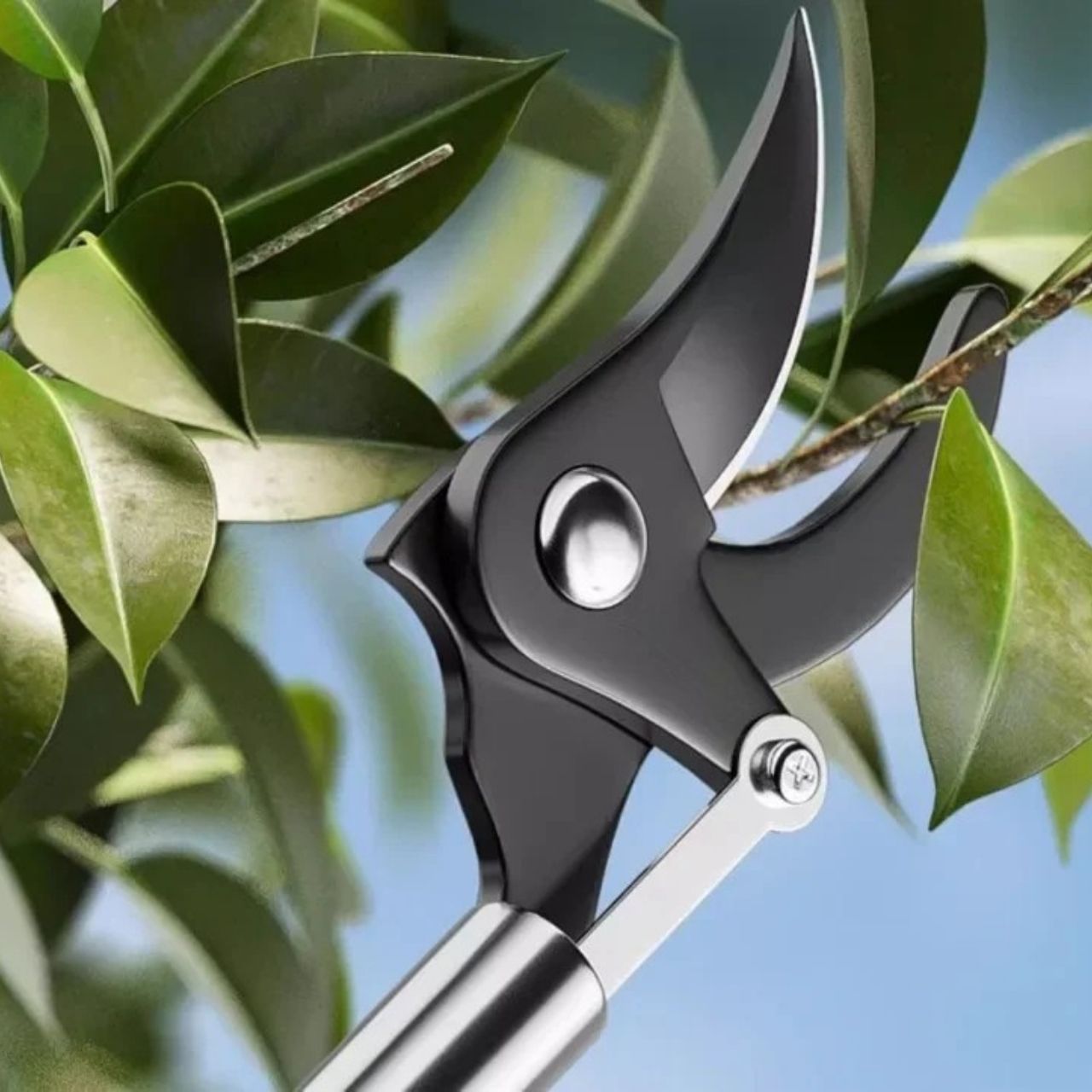 LongShears, loppers