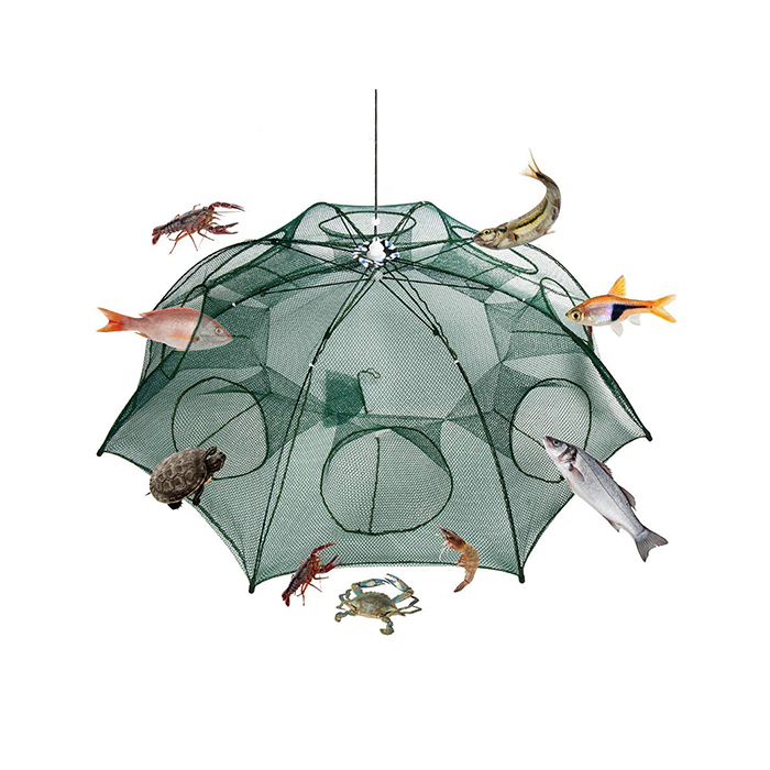 NetFish, an umbrella-shaped net trap for fish and crustaceans - Image 2