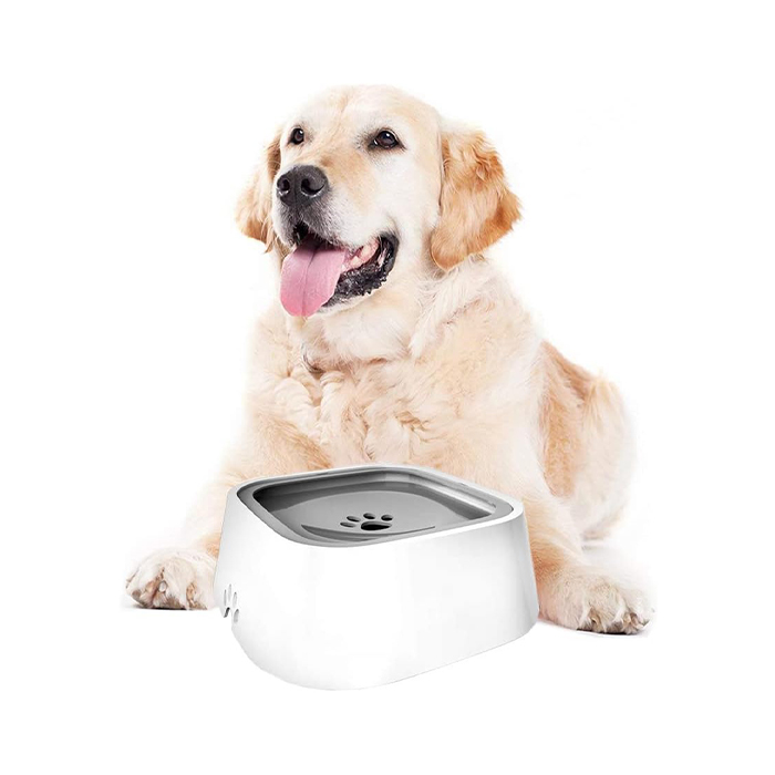NoSplashBowl, the dog's drinking bowl