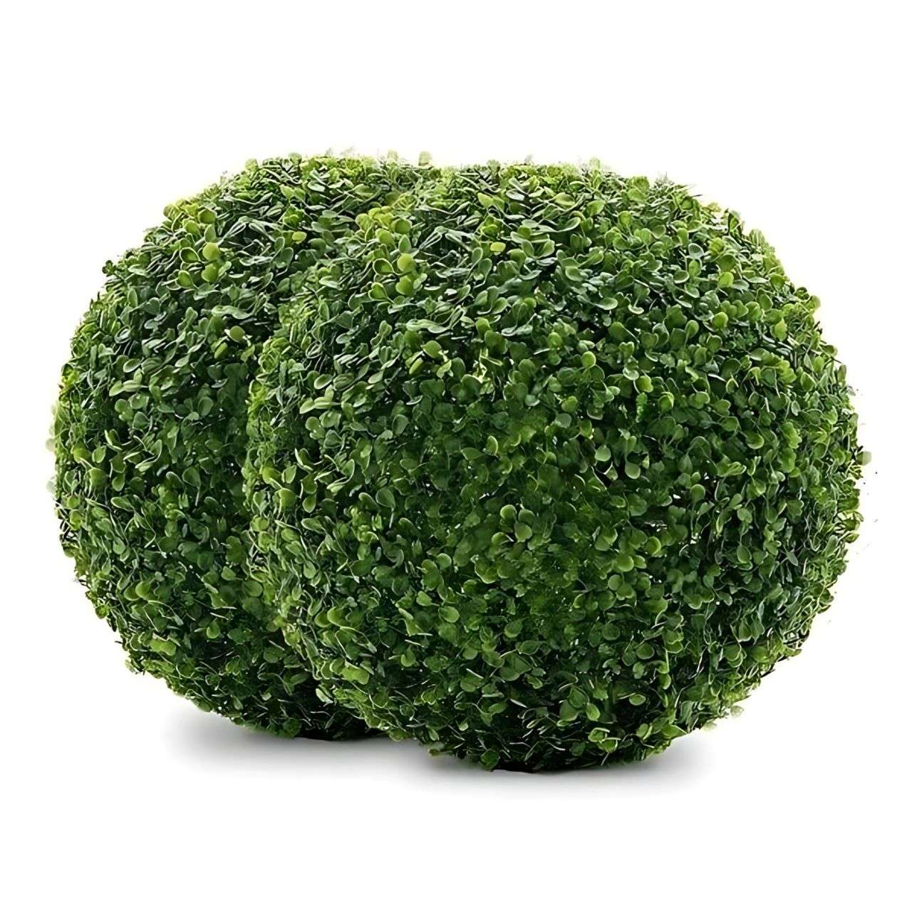 The perfect choice for indoor and outdoor use!
