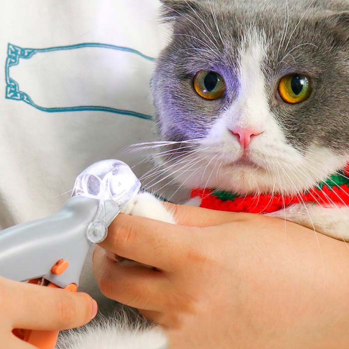The pincher has a handy hygiene compartment where the clipped claws get trapped!
