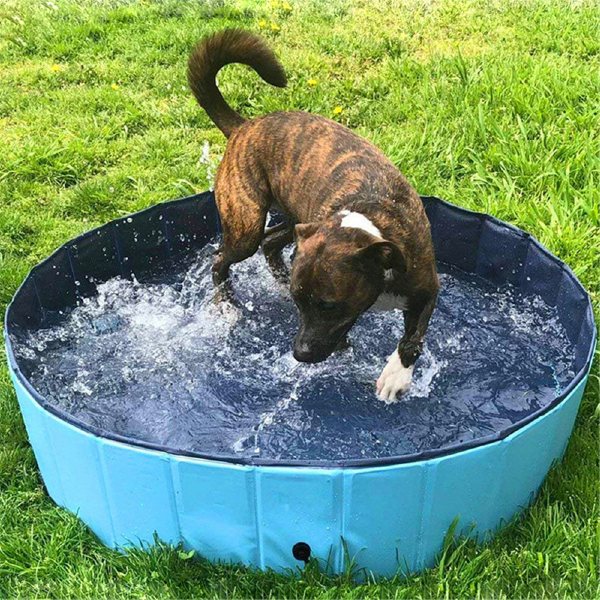 PawlyPool, a multi-purpose retractable pool that sets up without inflating