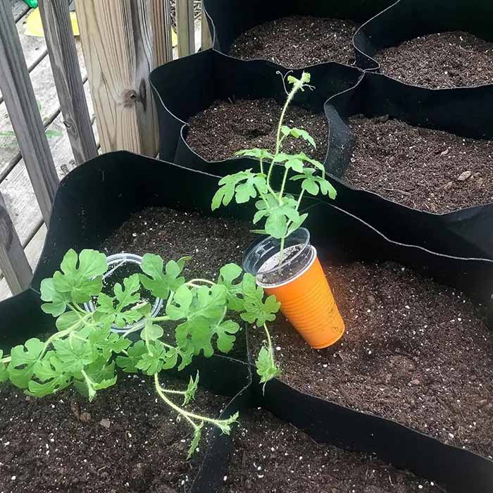 Pocket4Garden, portable garden bed with 4 separate compartments - Image 6