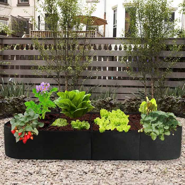 A garden bed provides the most optimal conditions for plants to grow!