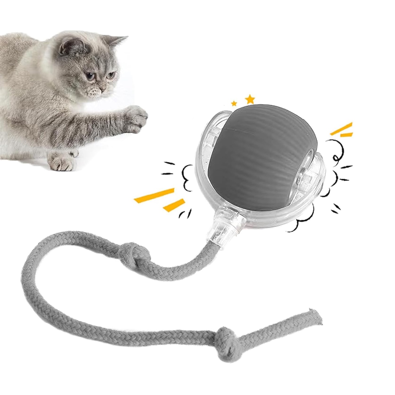 RollBall, a play ball with a leash for pets