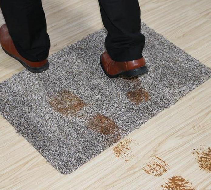 SuperStep, the carpet that cleans soles and paws in just one step - Image 6
