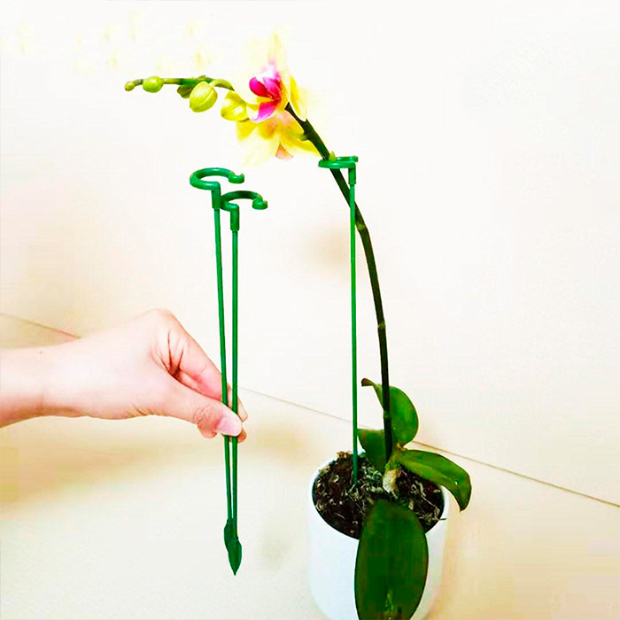 SupportPlant, plant support (10+10 FREE) - Image 6