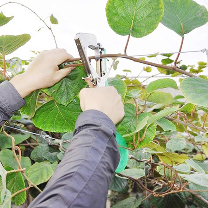 TapeTool, a tool for fast and efficient plant stapling - Image 5
