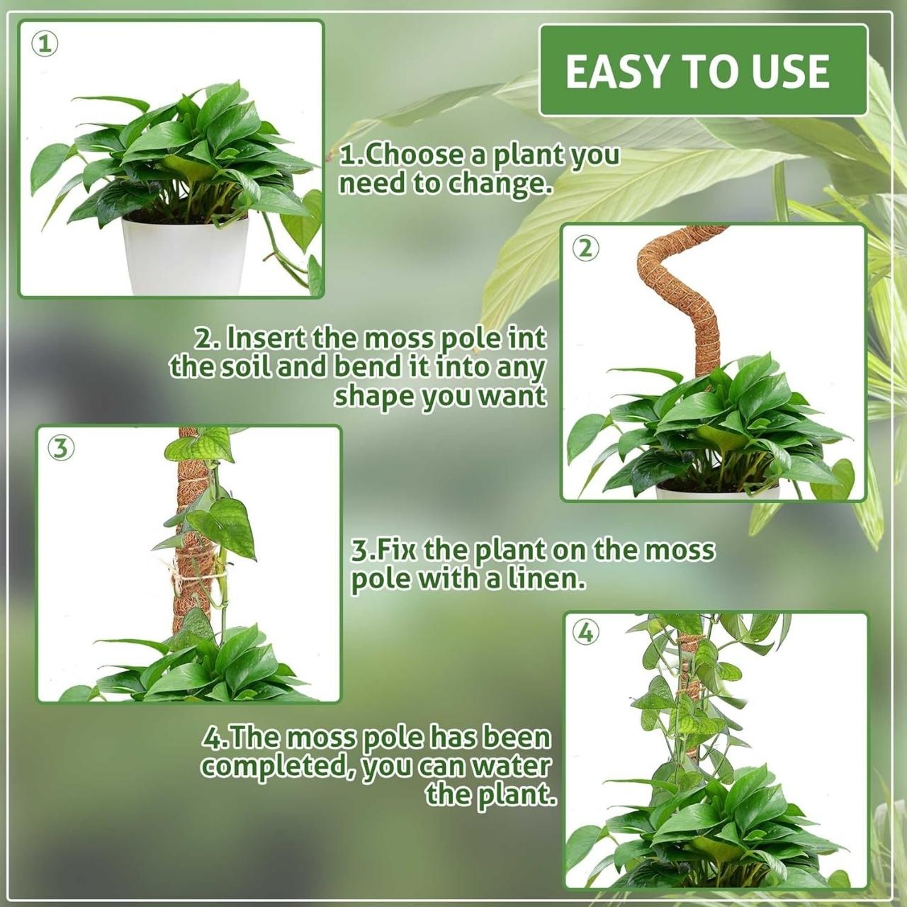 Ideal support for plants with aerial roots