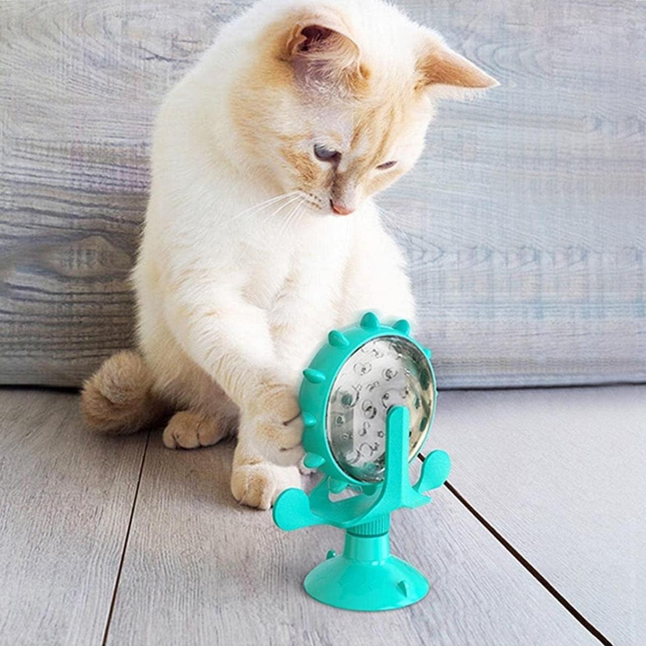 It reduces boredom and anxiety, especially in pets that are often home alone.