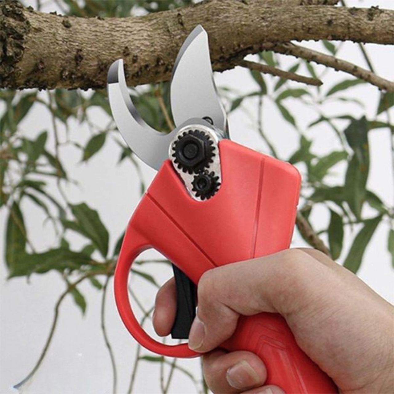Whizzy, the electric pruning shears - Image 6
